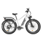 Rattan Pathfinder 750W Fat Tire e-bike