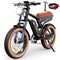 Isinwheel R6 Retro Electric Bike for Adults