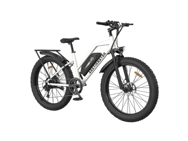 Aostirmotor Unisex City Commuter Ebike S07-G