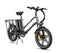 Mukkpet Stepwagon Dual-Battery Cargo E-Bike