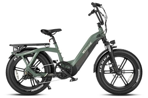 VELOWAVE Pony Step-Thru Electric Ebike