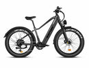 Rattan Pathfinder 750W Fat Tire e-bike