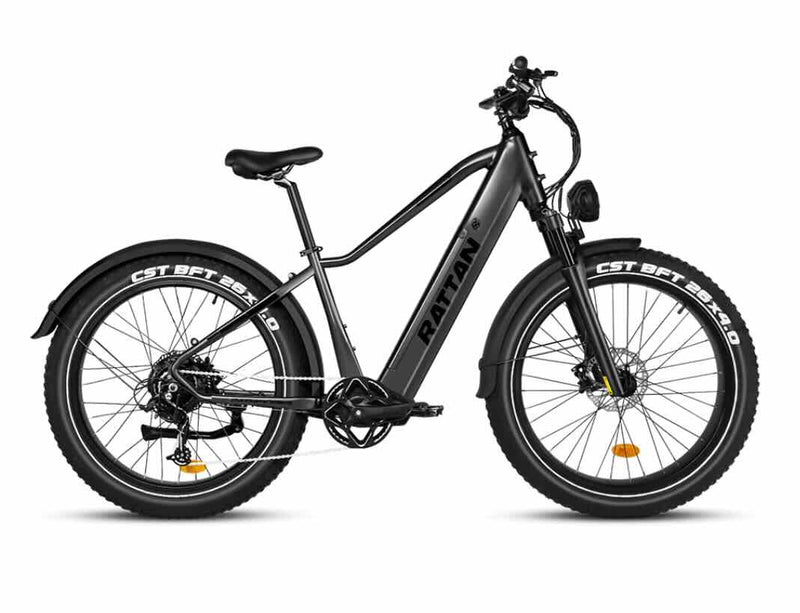 Rattan Pathfinder 750W Fat Tire e-bike