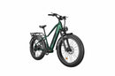 Rattan Pathfinder 750W Fat Tire e-bike