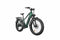 Rattan Pathfinder 750W Fat Tire e-bike