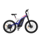 Aostirmotor Big Front Fork 1500W Electric Bike S17