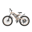 Aostirmotor Snakeskin Grain Mountain EBike S18-1500W