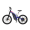 Aostirmotor Big Front Fork 1500W Electric Bike S17